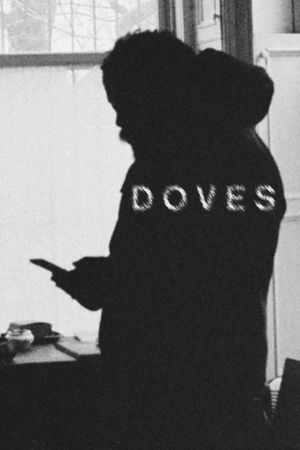 Doves's poster image