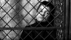 The 400 Blows's poster