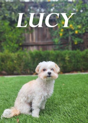 Lucy's poster image