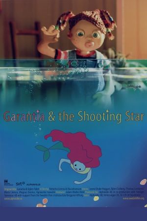 Garantia and the Shooting Star's poster