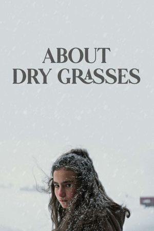 About Dry Grasses's poster