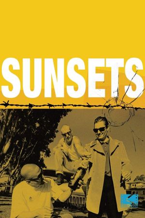 Sunsets's poster