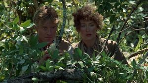 Out of Africa's poster