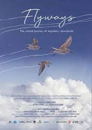 Flyways: The Untold Journey of Migratory Shorebirds's poster