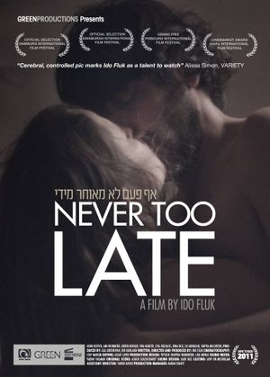 Never Too Late's poster