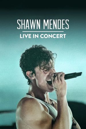 Shawn Mendes: Live in Concert's poster
