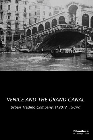 Venice and the Grand Canal's poster