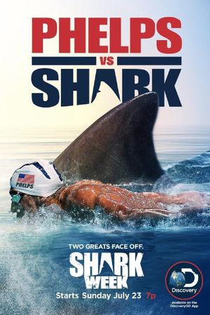 Phelps vs Shark's poster