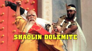 Shaolin Dolemite's poster