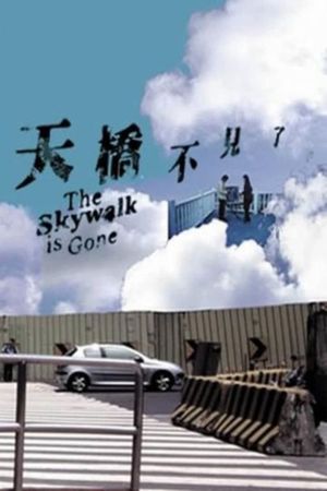 The Skywalk Is Gone's poster image
