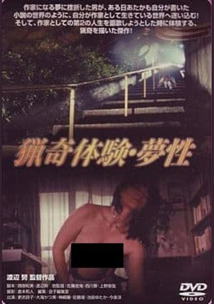 Bizarre Experience: Dreamy's poster image