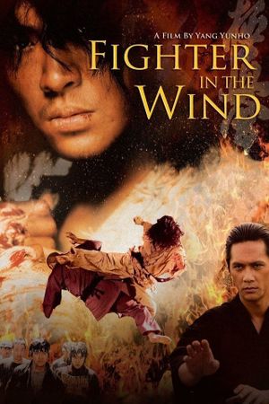 Fighter in the Wind's poster image