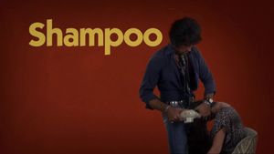 Shampoo's poster