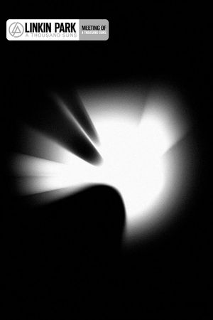 The Meeting of a Thousand Suns's poster