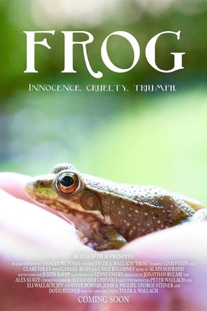 Frog's poster