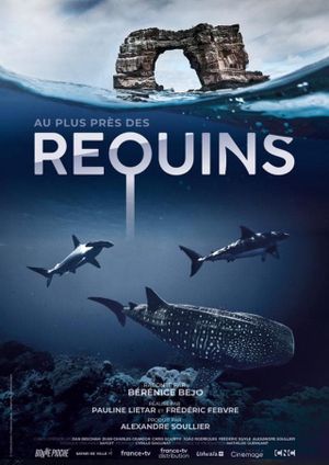 For the Love of Sharks's poster