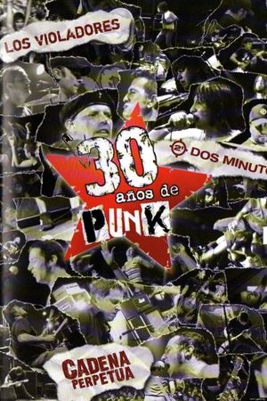 30 años de punk's poster