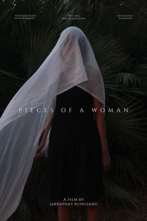 Pieces of a woman's poster image