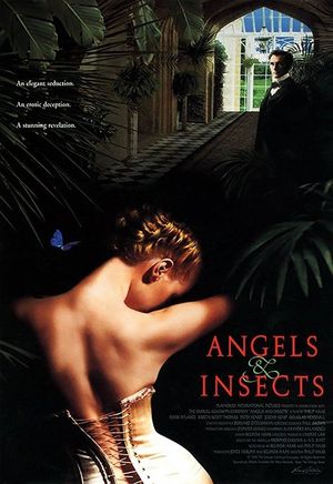 Angels and Insects's poster