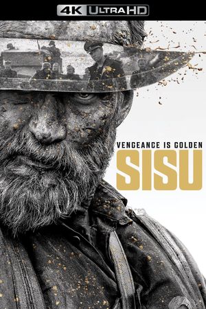 Sisu's poster
