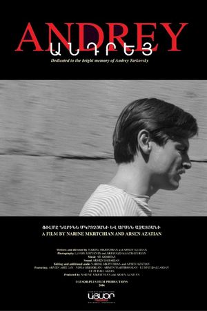 Andrey's poster