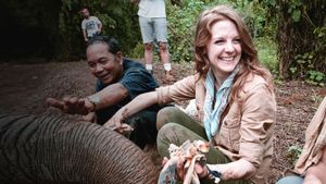 Love & Bananas: An Elephant Story's poster