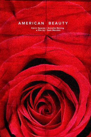 American Beauty's poster