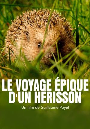 Le voyage épique d'un hérisson's poster