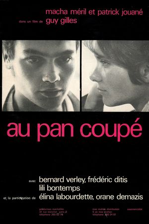 Au pan coupé's poster
