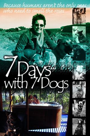 7 Days with 7 Dogs's poster