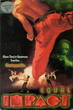 Equal Impact's poster