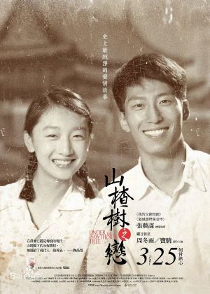Under the Hawthorne Tree's poster