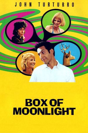 Box of Moonlight's poster