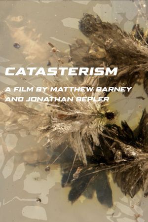 Catasterism's poster