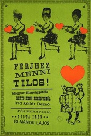 Férjhez menni tilos!'s poster image