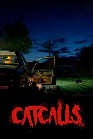 Catcalls's poster