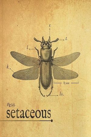 Setaceous's poster