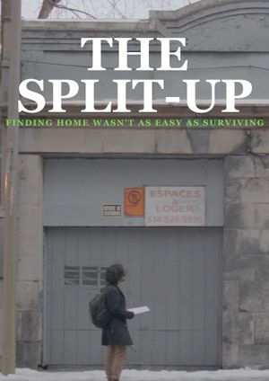 The Split-Up's poster