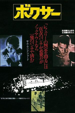 The Boxer's poster