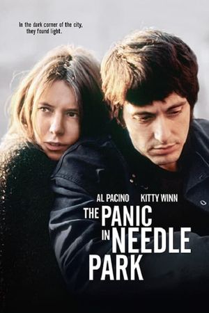 The Panic in Needle Park's poster