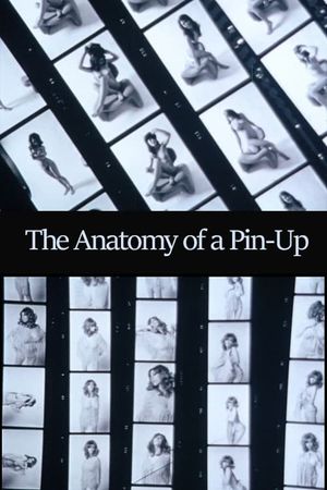 The Anatomy of a Pin-Up's poster