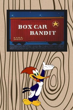 Box Car Bandit's poster