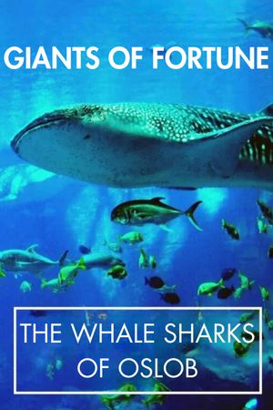 Giants of Fortune: The Whale Sharks of Oslob's poster image