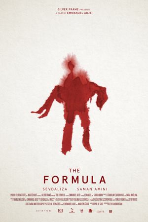 The Formula's poster