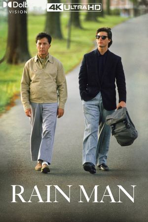 Rain Man's poster