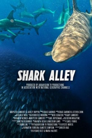 Shark Alley's poster