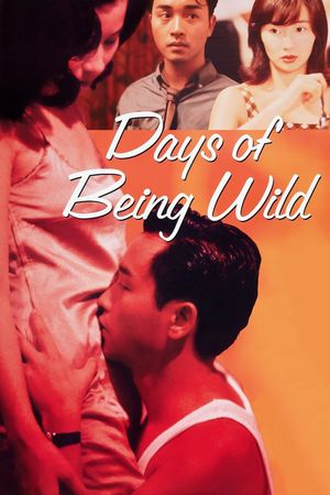 Days of Being Wild's poster