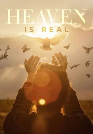 Heaven is Real's poster image