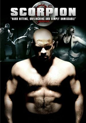 Scorpion's poster