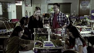 Thirteen's poster